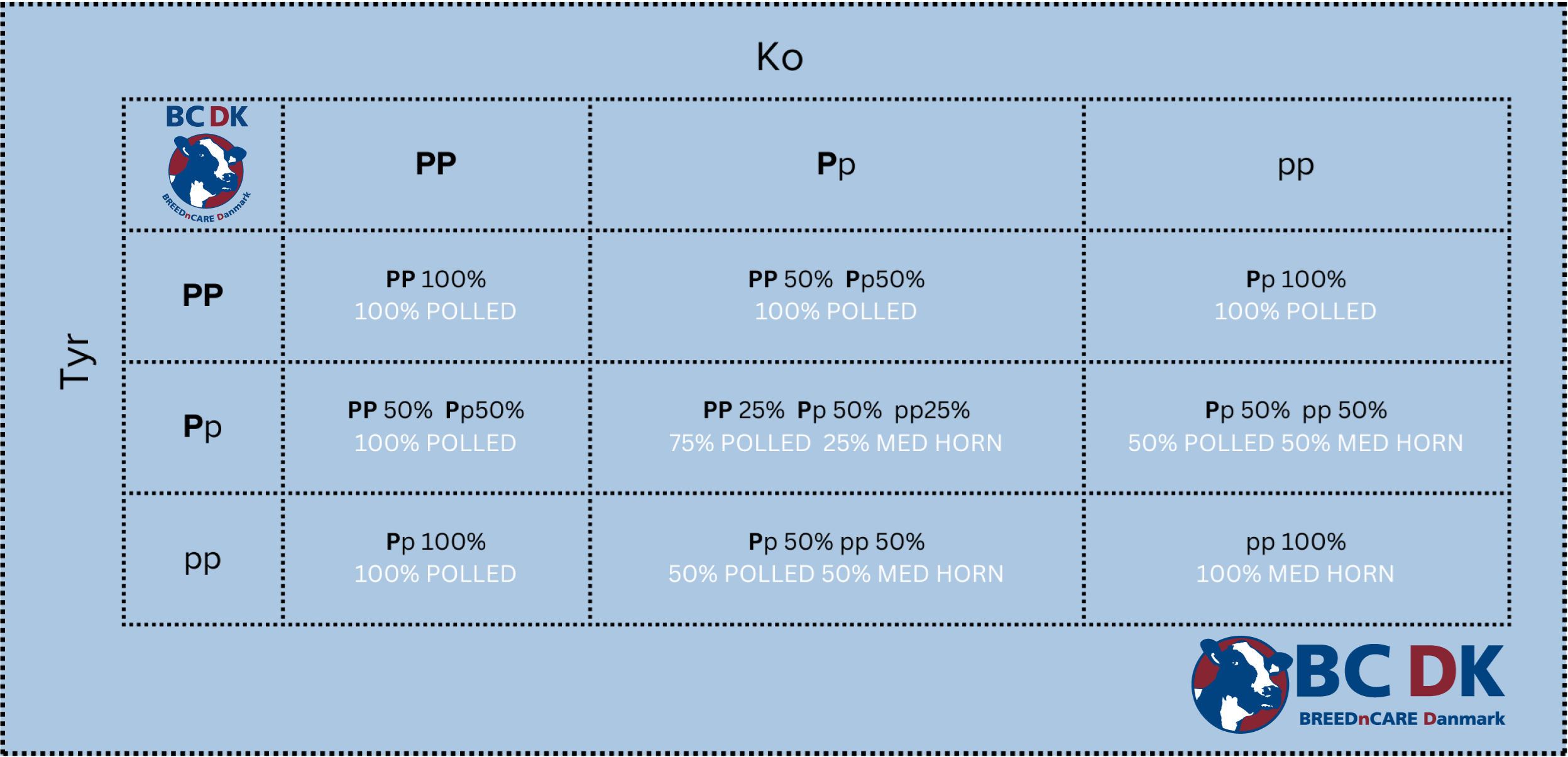 polled tabel illustrator file2